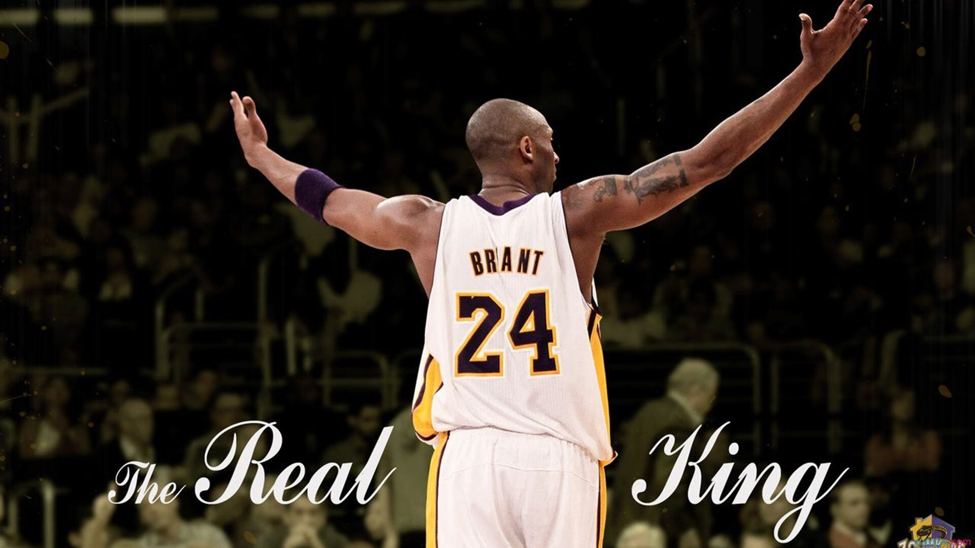 JIUYOU GAMING-体育摄影比赛征集优秀瞬间记录热情高涨,体育摄影主题