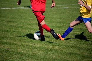 九游网页版官网-中国足球俱乐部拓展足球公益项目服务社会,足球公益项目简介