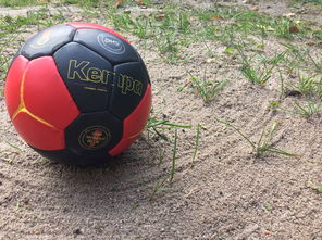 九游app下载中心-向鹏澳门赛首轮出局，国乒男单阵容再遭打击，wtt澳门乒乓球男单